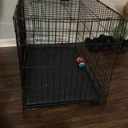 Dog Cage