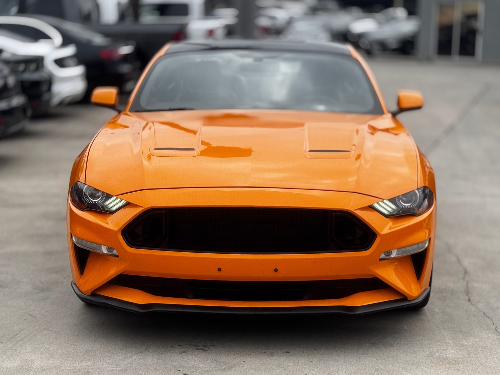2019 Ford Mustang