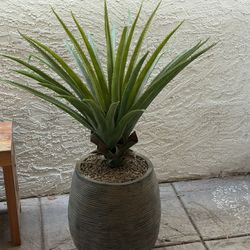 Faux Yucca Plant 