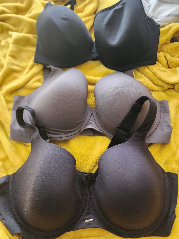 Lane Bryant Bras