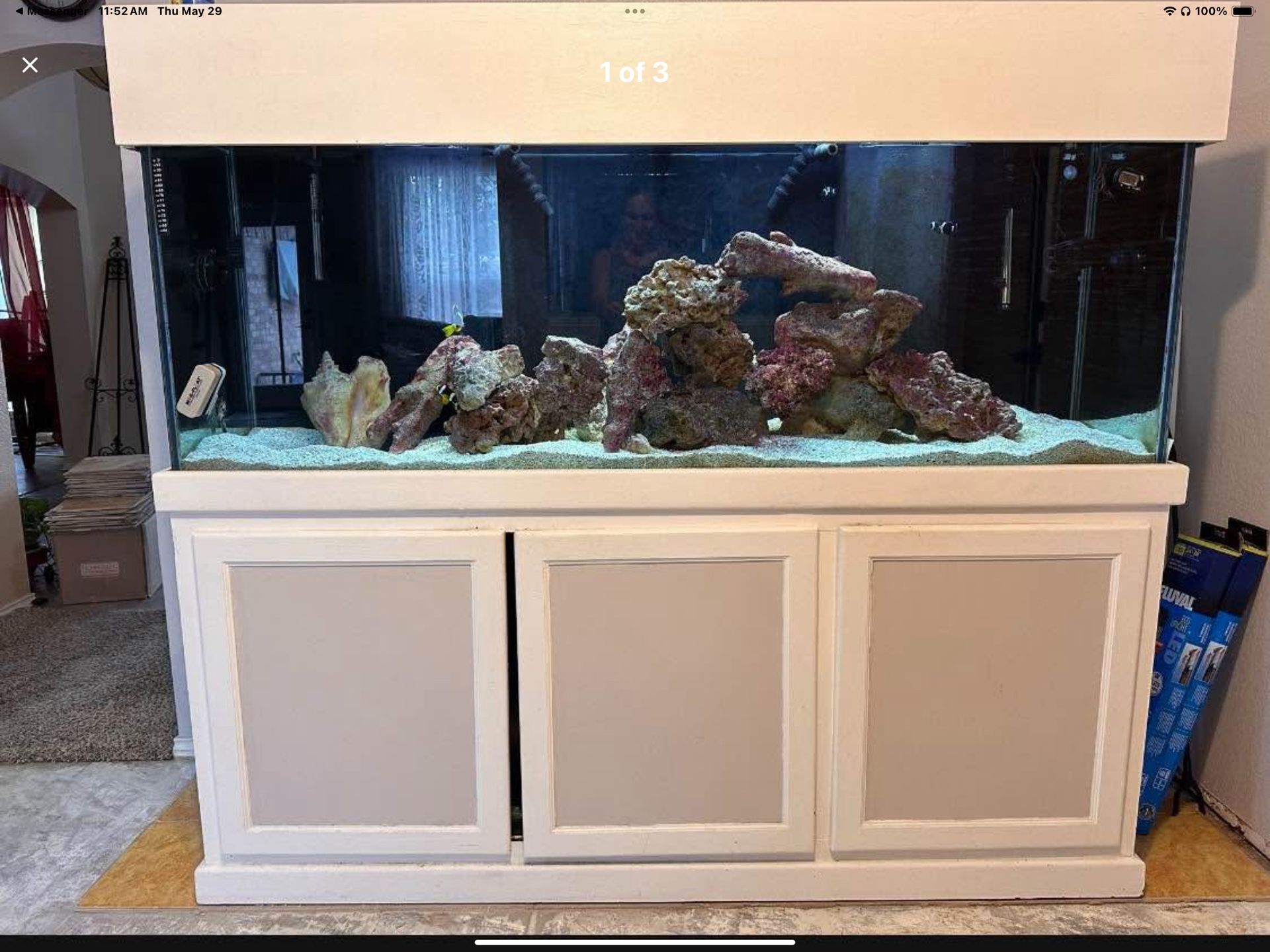 Aquarium/ Fish Tank / Saltwater