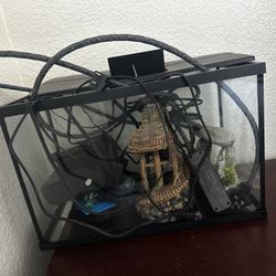 Fish Tank With Accessories 