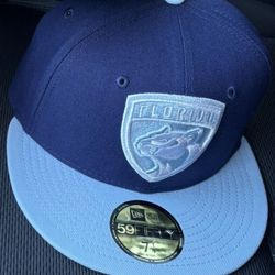 Florida panthers hat