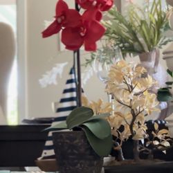 Flowers With Pot  $5