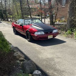 1993 Ford Mustang