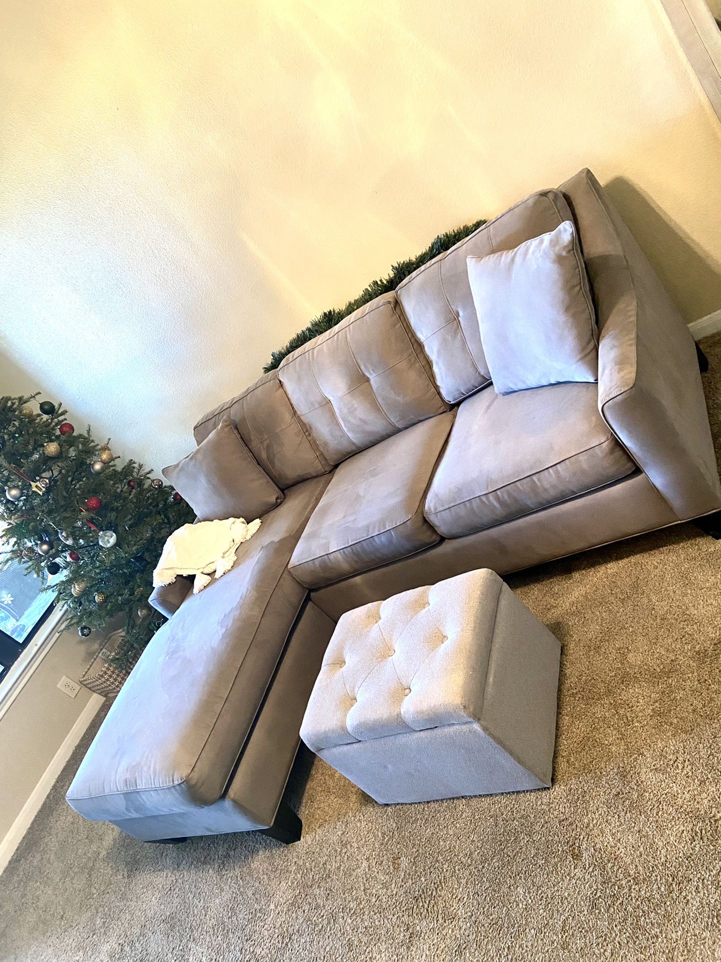 RTG Sectional/sofa sleeper (Queen Size)