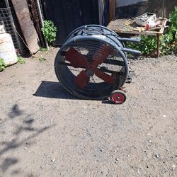 Fan 28 
