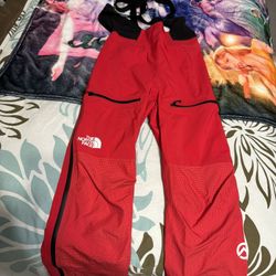 North face Snow Pants