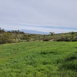 Accepting-seeking  Free Fill Dirt