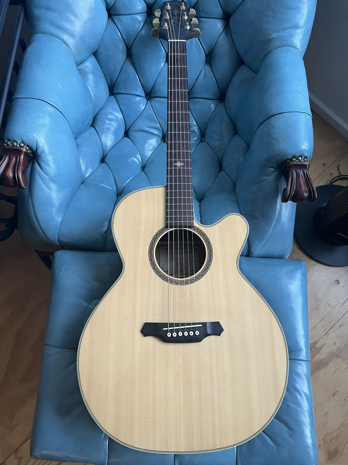 Takamine ESG-45SC Acoustic Electric Guitar 