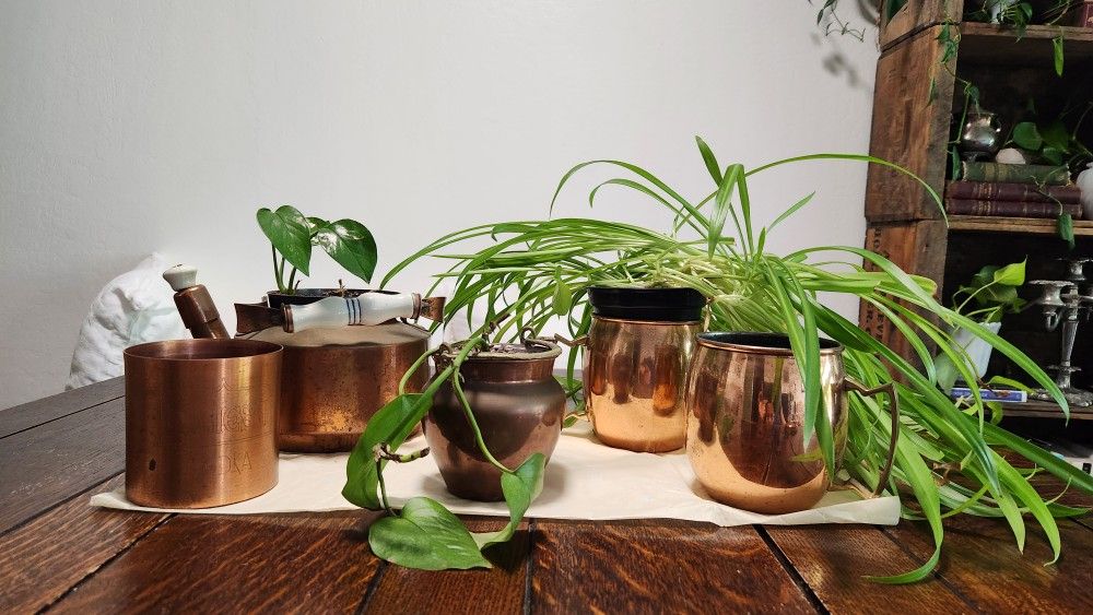 Copper Cups & Kettle