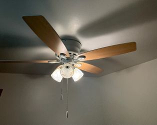 Ceiling fan