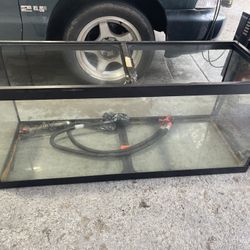75 Gallon 2 30 Gallons 20 Gallon 10 Gallon All Available For Pick Up Or Drop Off 