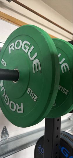 Rogue 25 LB Bumper Plates – Pair / 50 LB Total – $100
