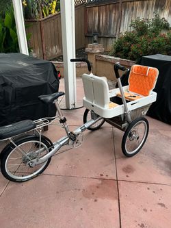 Taga 3 wheel bike