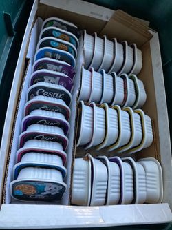 Cesar Wet Dog Food Trays Variety Pack