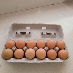 Eggs