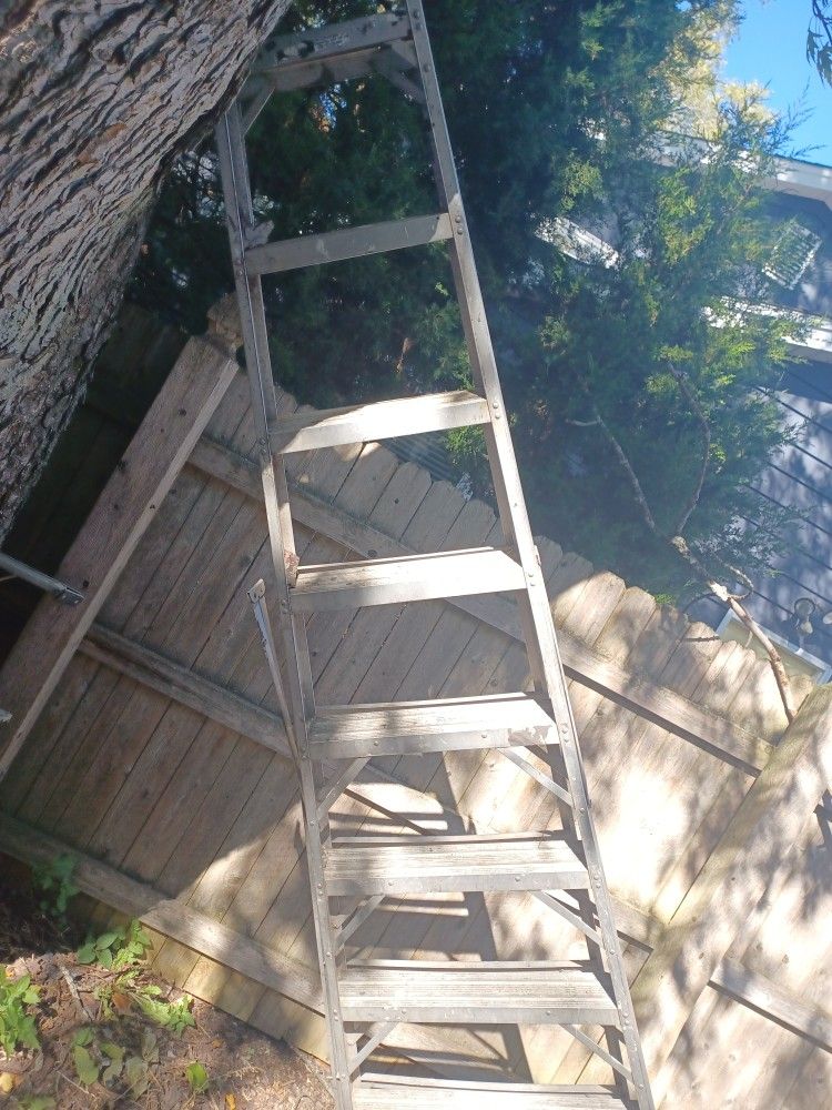10 Ft Aluminum Ladder