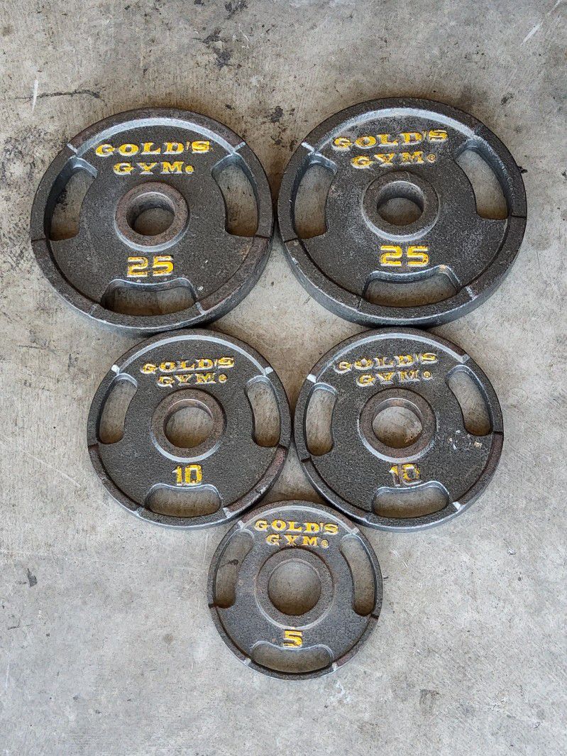 Gold gym weight plates  25.10.5