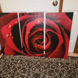 Rose Canvas Photo