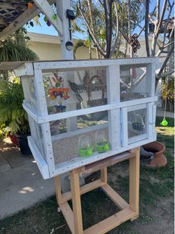 Custom bird cage