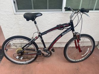 Schwinn Bike