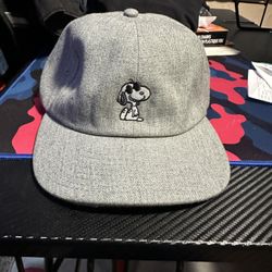 Snoopy Vans Gray Hat