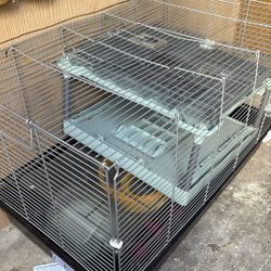 Hámster Cages 