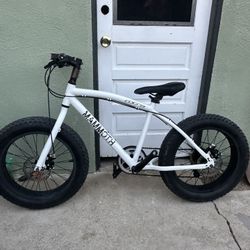    Mammoth Fat Tire Mountain Bike 20”