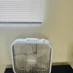 Fan