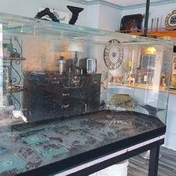 220 Gallon Glass Aquarium With Sump