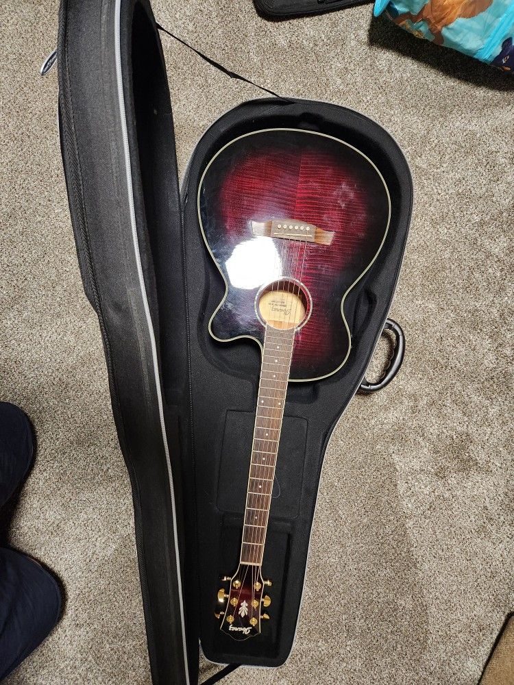 Ibanez AEG2011 2013