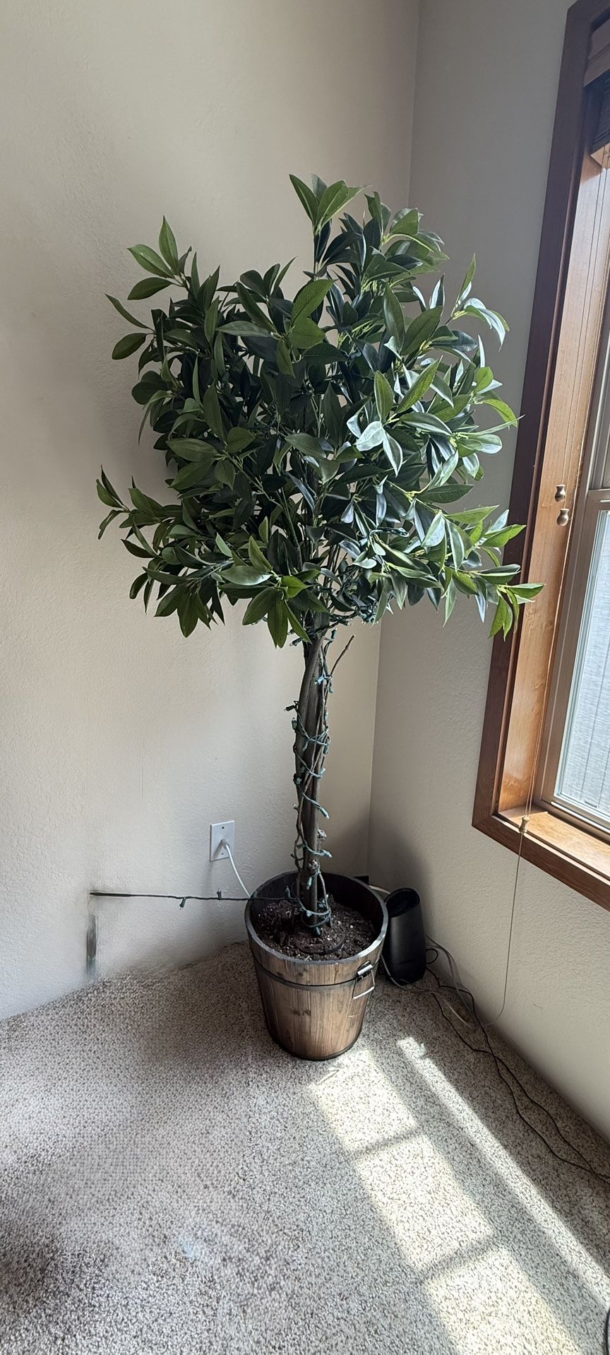 Beautiful Realistic Silk Plants/trees