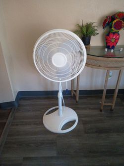 Fan