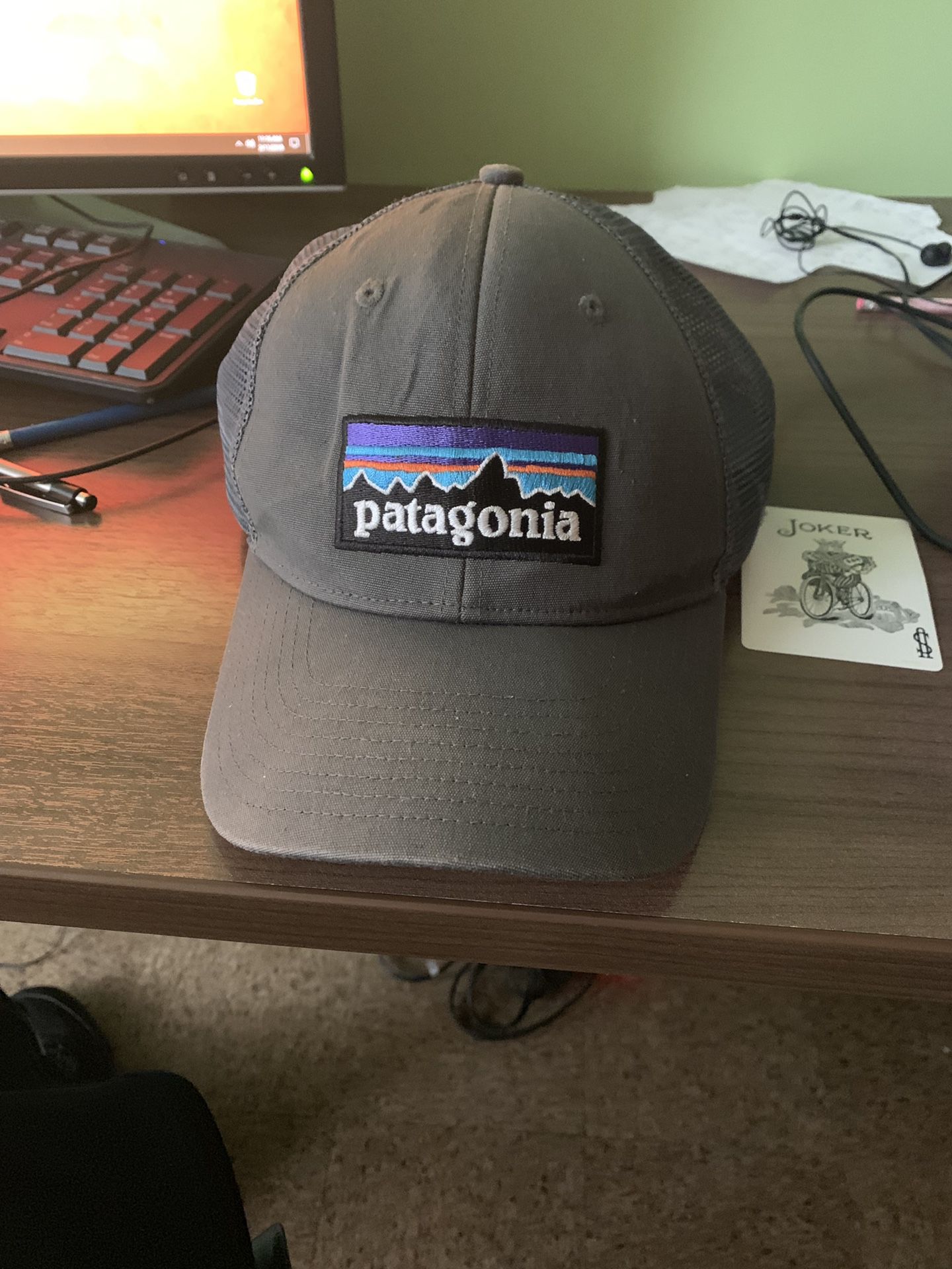 Patagonia grey cap