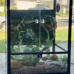Glass Terrarium (Reptile, Amphibian, Plants)