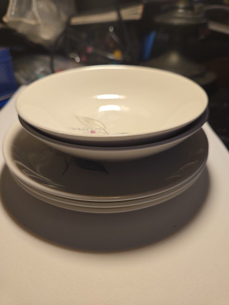 Salem China Biscayne Dishes