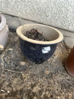 garden pot 