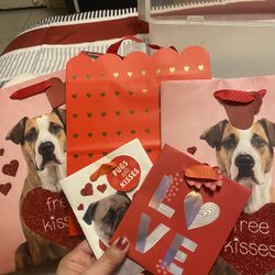 Valentine Gift Bag, Your Chouce $1 Each