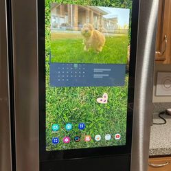 Samsung Fridge