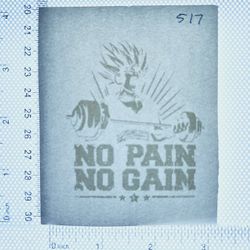 Iron On Heat Transfer  Good For T-shirts Sweaters Jackets T Shirt Design Size Is About 3x3  No pain No Gain #517