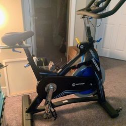Horizon Exercise Bike