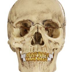 Supreme 4D Human Skull Brand New