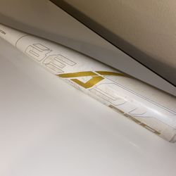 Easton Beast Pro Baseball Bat