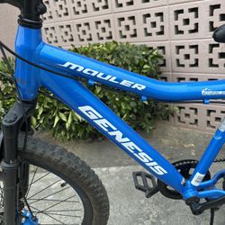 Genesis Mauler 24” Bike Front Suspension Disc Brakes. Nice Ready To Use 100$$ Cash 