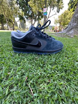Nike SB Oregon PE