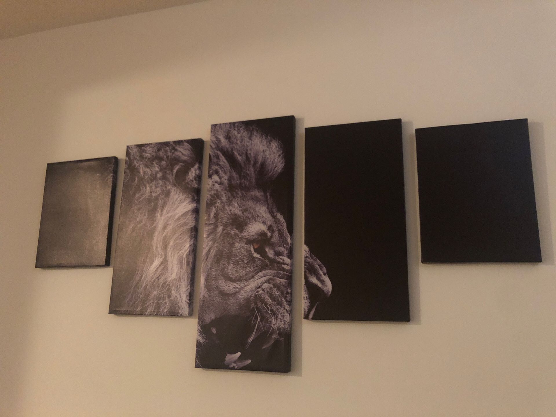 5-piece Lion Canvas