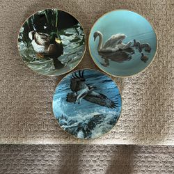 The Hamilton Collection Plates