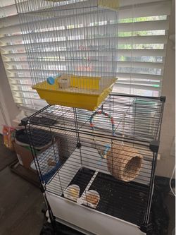 Parakeet Bird and  two cages with toys