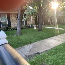 Se Cortan Llardas Y Limpiesa De Ojas En Mesquite Tx